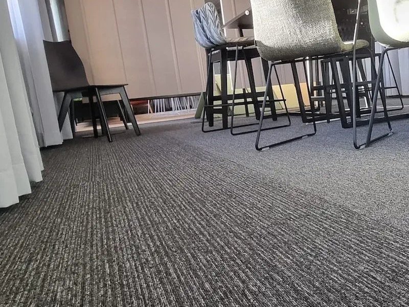 Carpet in an open concept living room